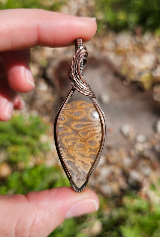 Fossilized Coral Pendant