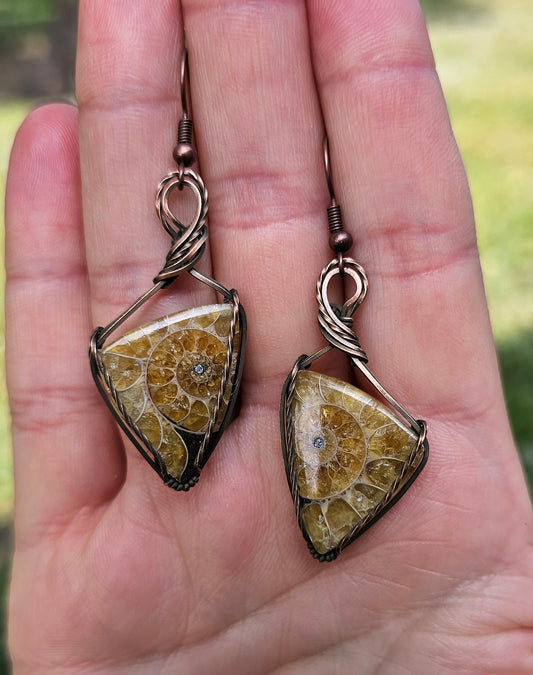 Ammonite Earrings